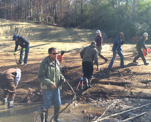 Participants working together beside a stream at a restoration site.
