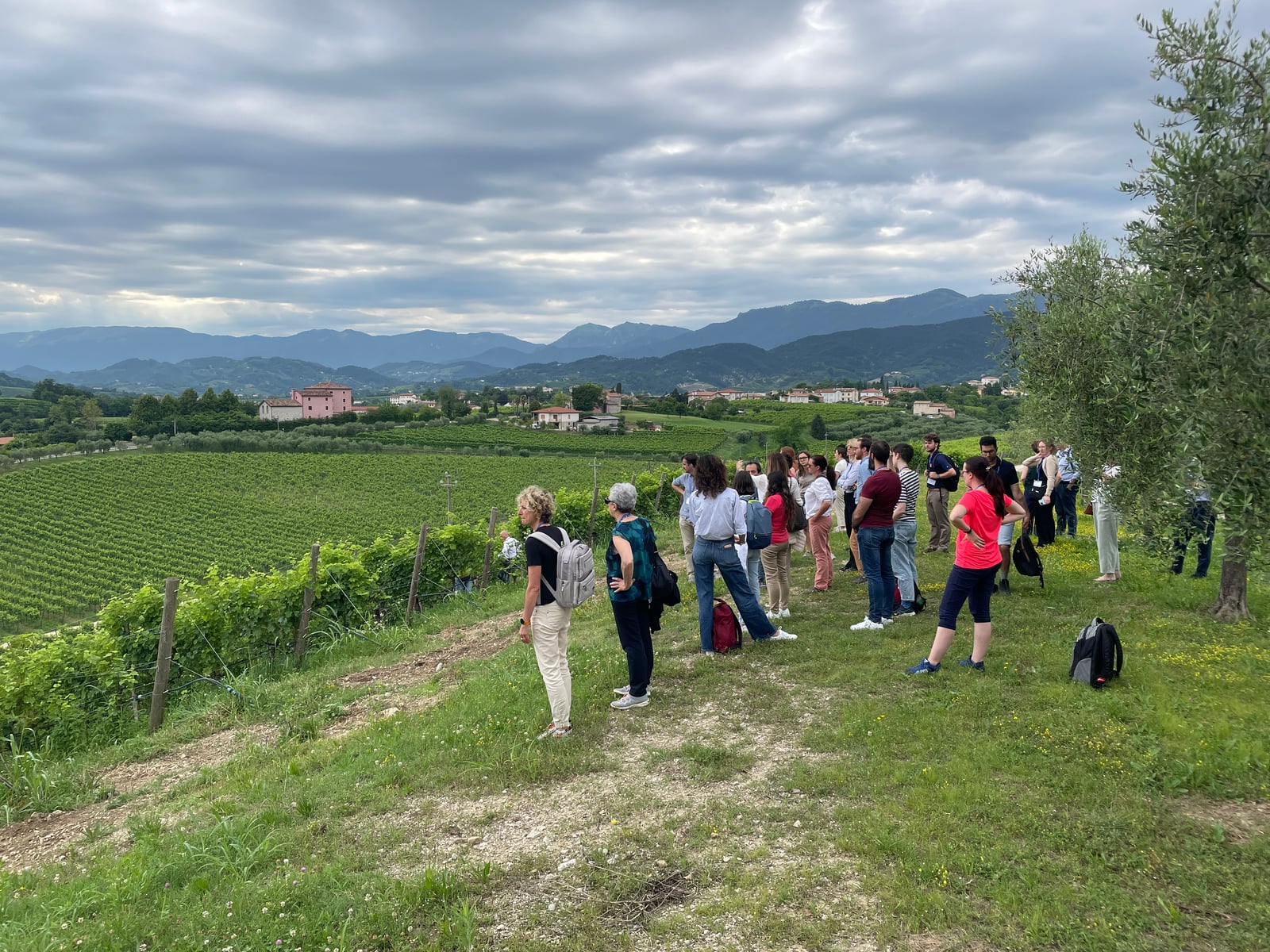 Study-abroad group visiting an agricultural landscape in Italy in 2024.